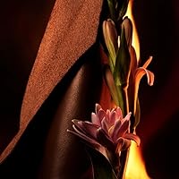 Vista 4 de BVLGARI Hombre en negro Eau De Perfume Set de 2 piezas, 3.4 onzas