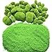 Woohome Mousse Artificielle Rocks Décoratifs, 50 PCS 4 Taille Boules de Mousse Verte pour Arrangements Floraux, Fée Jardins, Terrariums et Travaux Manuels