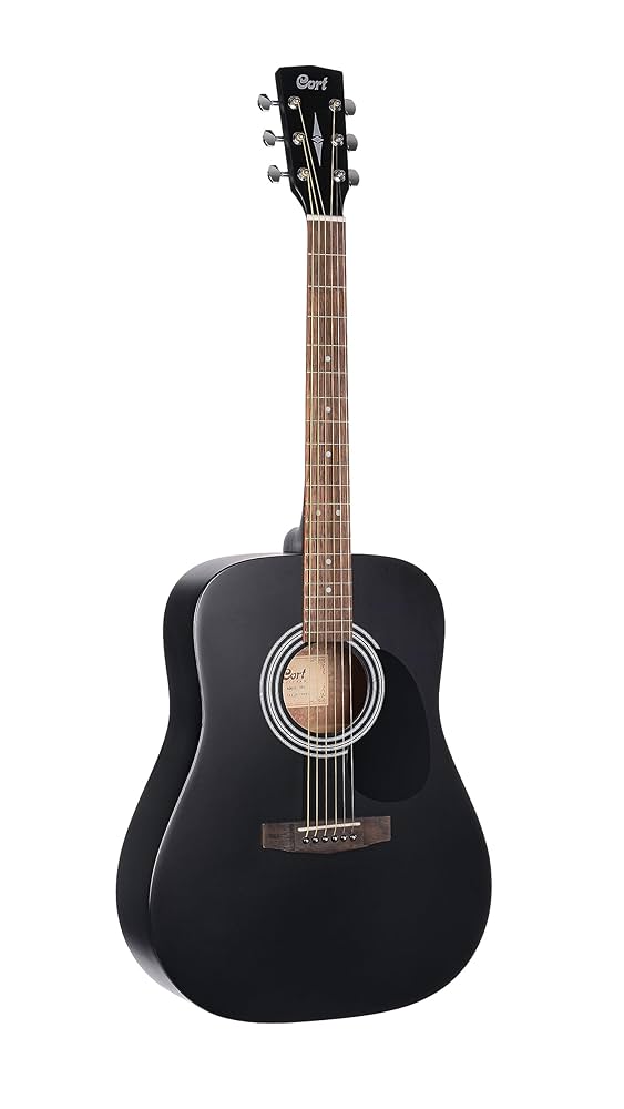 Amazon.com: AD810 OP (BKS, Right) : Musical Instruments