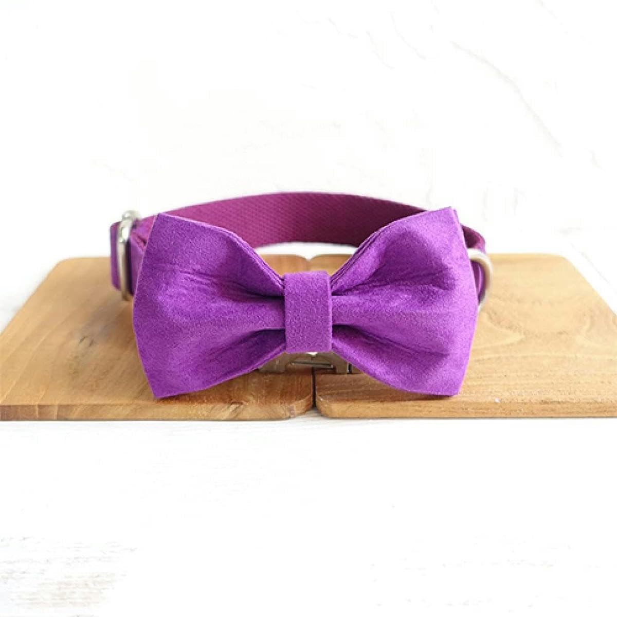 Halsband aus Polysatin und Nylon, lila, 5 Größen, Hundehalsband und Leine, Hundehalsband mit Fliege, M