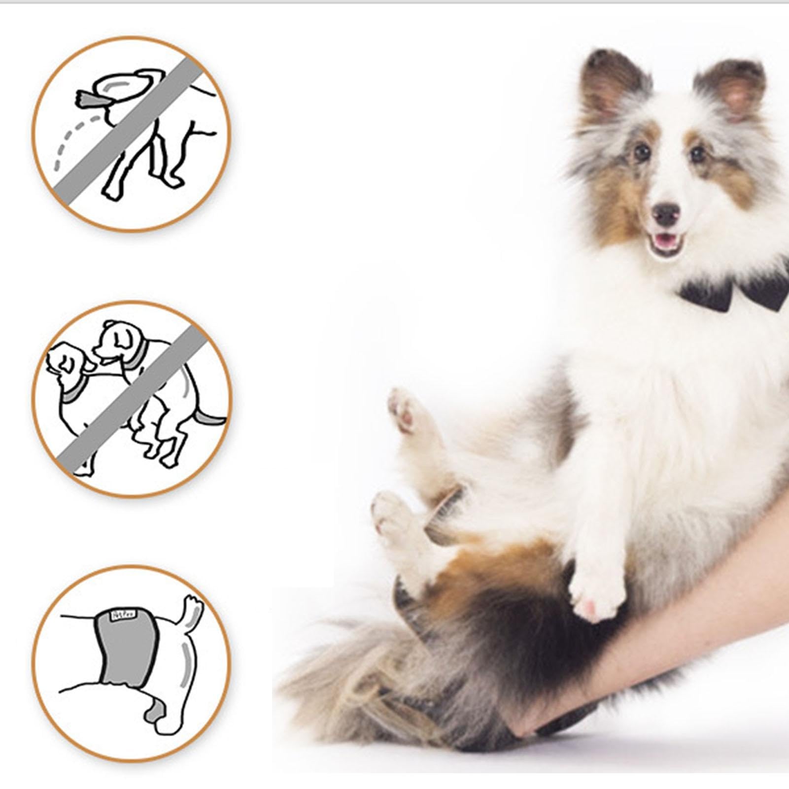 Bauchband für Rüden,Bauchbänder für Rüden - Welpen-Bauchband,Strapazierfähige, sehr saugfähige, Bequeme, ultraweiche, auslaufsichere, waschbare Windeln für männliche Hunde für kleine, mittelgroße und