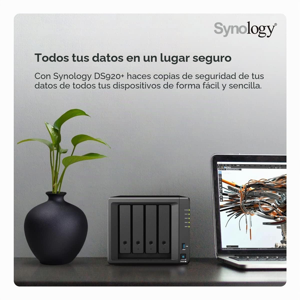 Synology DISKSTATION DS920+