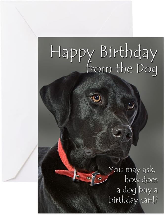 CafePress From The Black Lab Birthday Card Greeting Card