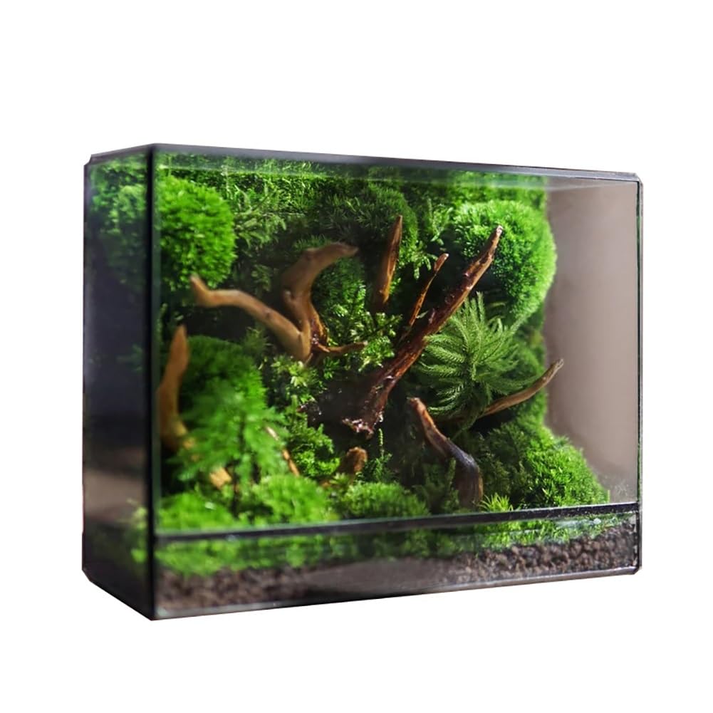AVCULT Terrario Geométrico Hecho A Mano, Geométrico Maceta Hecha A Mano,Maceta Moderna De Cactus Suculentos, Decoración De Jardín para El Hogar Regalo (Solo Terario) (Color : 19.5 * 8 * 14.5 CM)