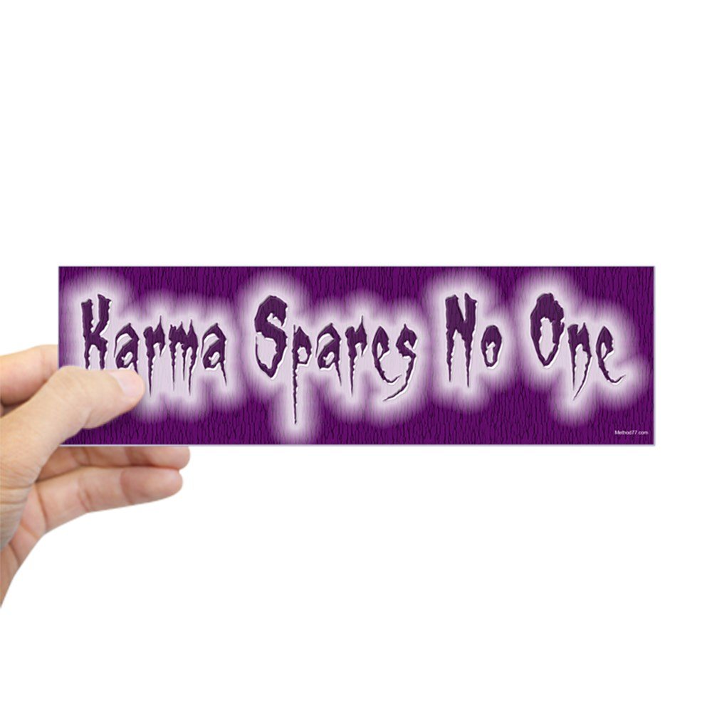CafePress Karma Spares 10"x3" Rectangle Vinyl Bumper Sticker Car Decal