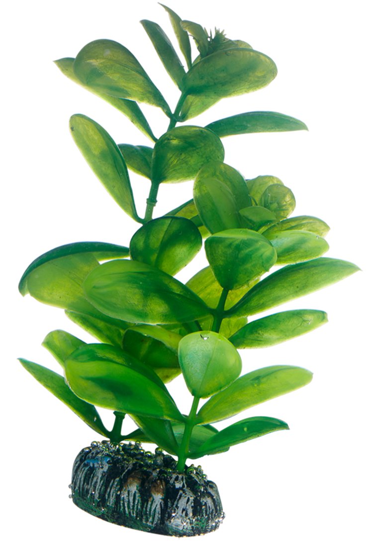Hobby 51563 Saururus, 16 cm