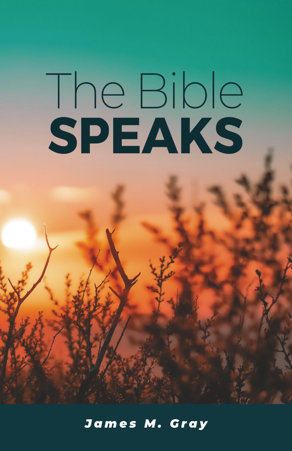 The Bible Speaks
