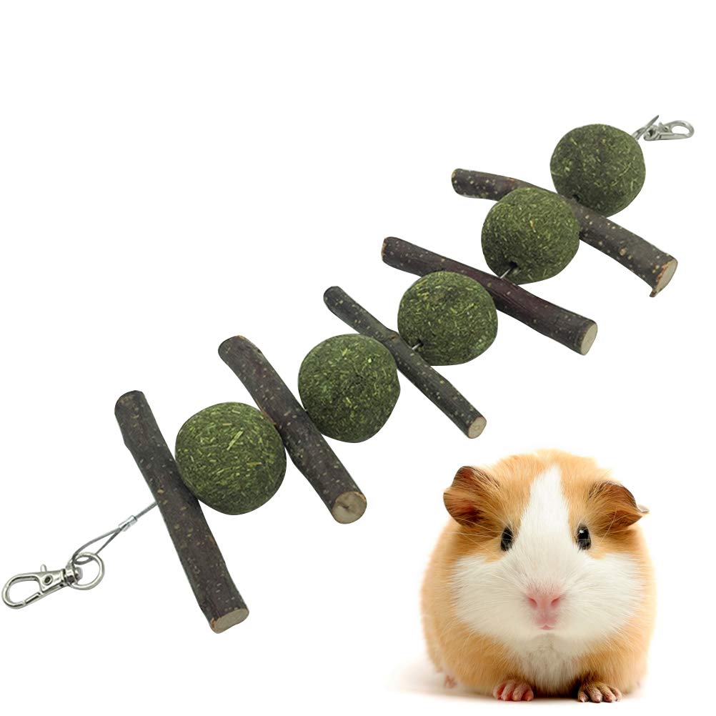 Guinea Pig Chew Sticks