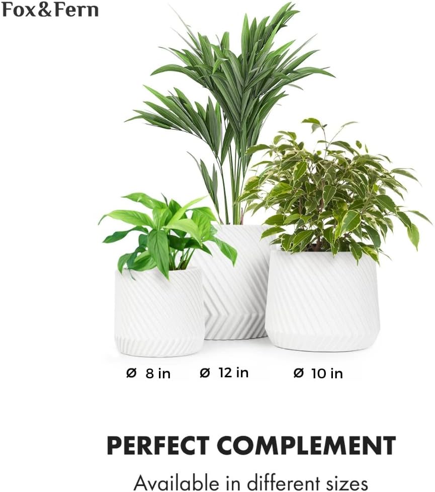 https://m.media-amazon.com/images/I/61fQF-Q26kL._AC_SL1080_.jpg