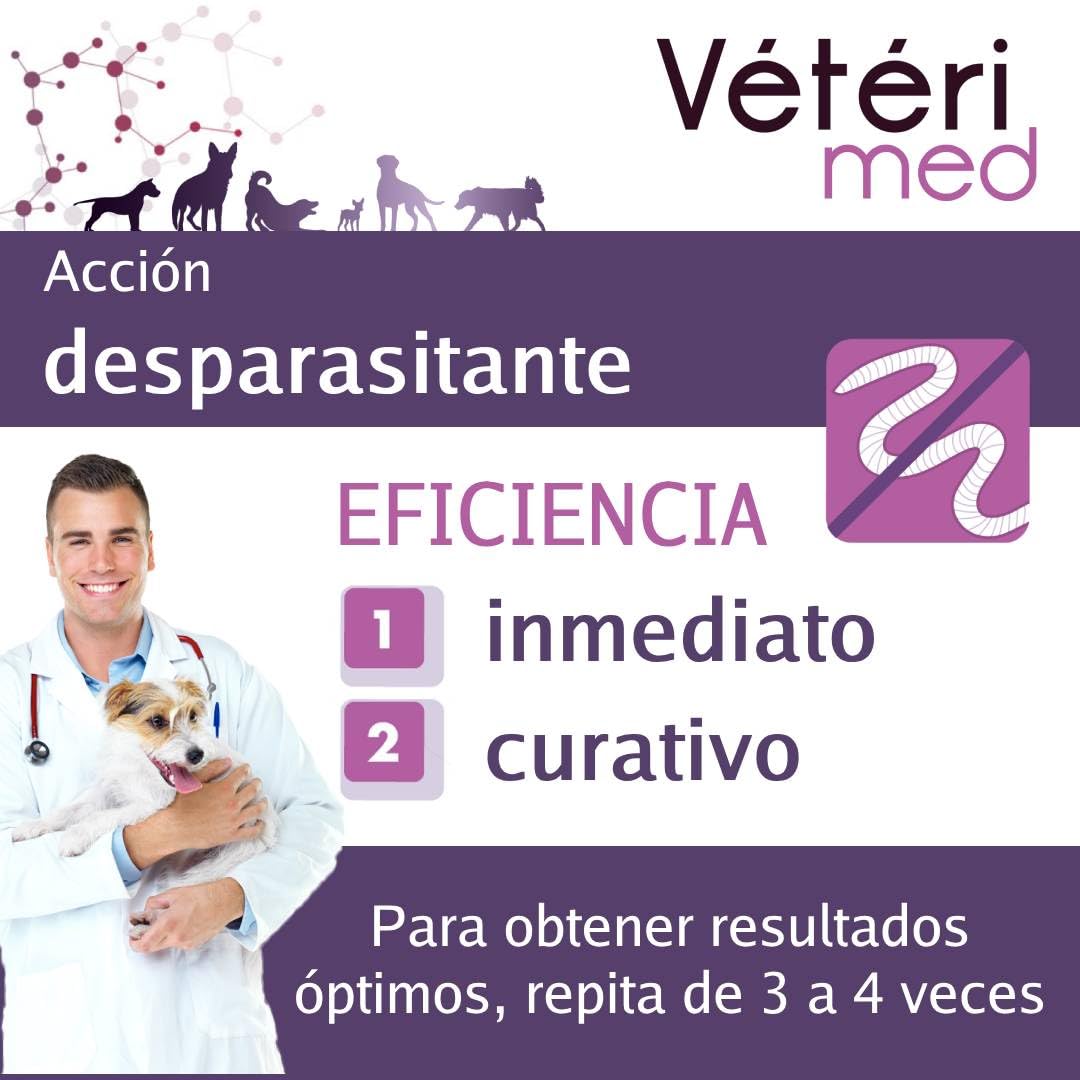 Comprimés vermifuges naturels pour l'hygiène intestinale des Chiens - Agit sur Tous Types de vers - Fabriqué en France - 30 comprimés - Version espagnole