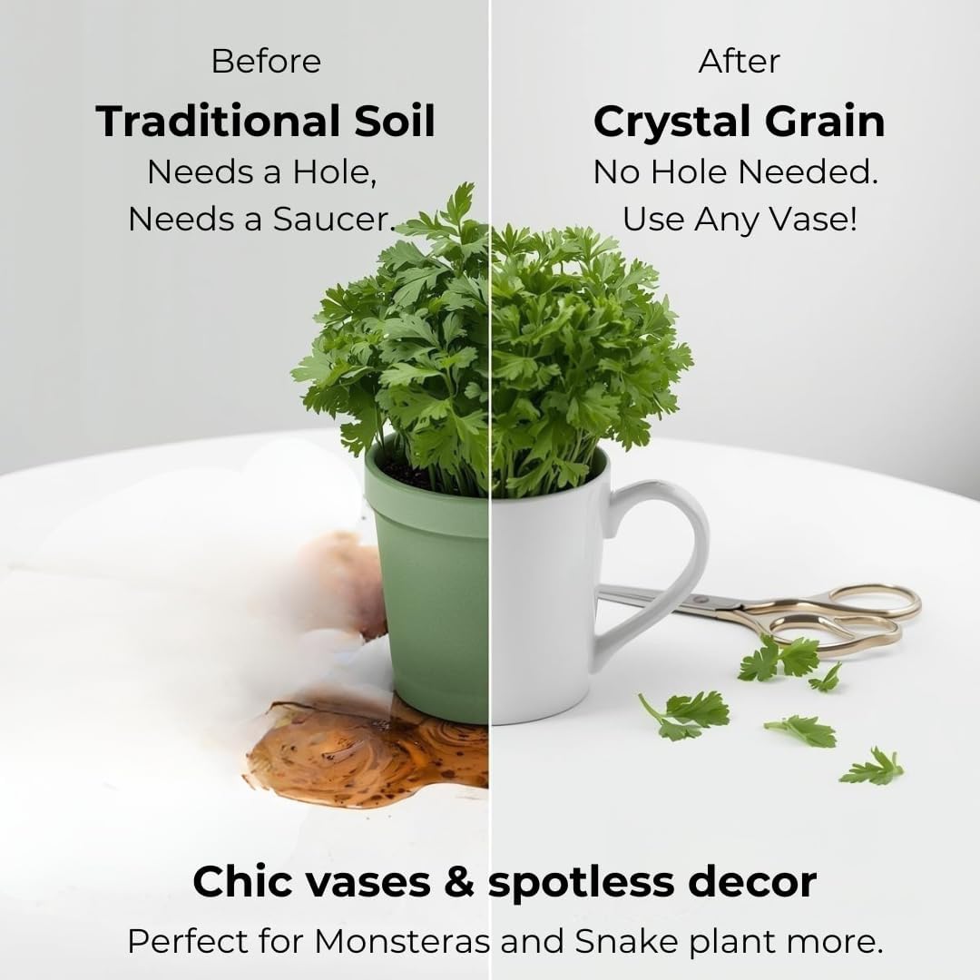 Crystal Grain Indoor Plant Soilless Growing Medium, Fine Grain for Small Pots, Semi-Permanent, 100% Inorganic & Odorless, Visible Watering Indicator, Patented Japanese Tech, 2L (Resealable Bag)