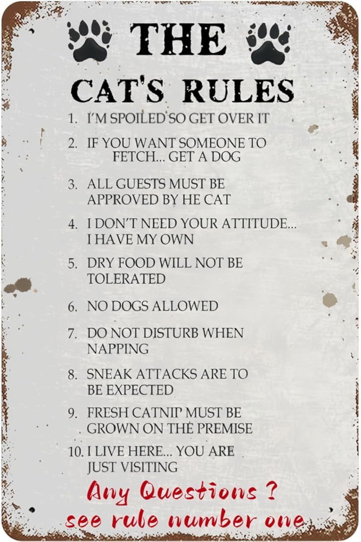 The Cat Rules Art Plaque Wall Decor Look Funny Gifts for Cafe Home Kitchen Bathroom Farm Garden Bar Posters Tin Sign 8x12 Inch