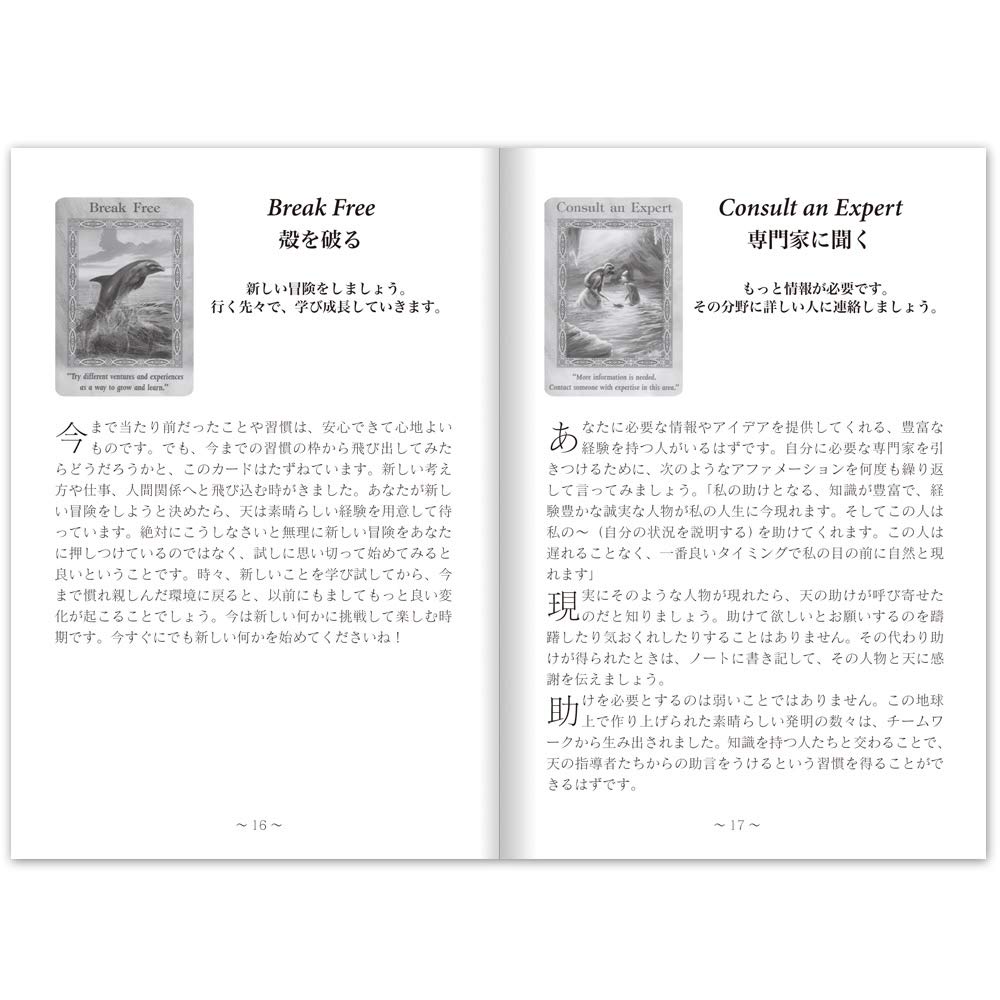 マーメイド ドルフィンオラクルカード 日本語版説明書付 年改定版 オラクルカードシリーズ ドリーン バーチュー 山下 花奈 本 通販 Amazon