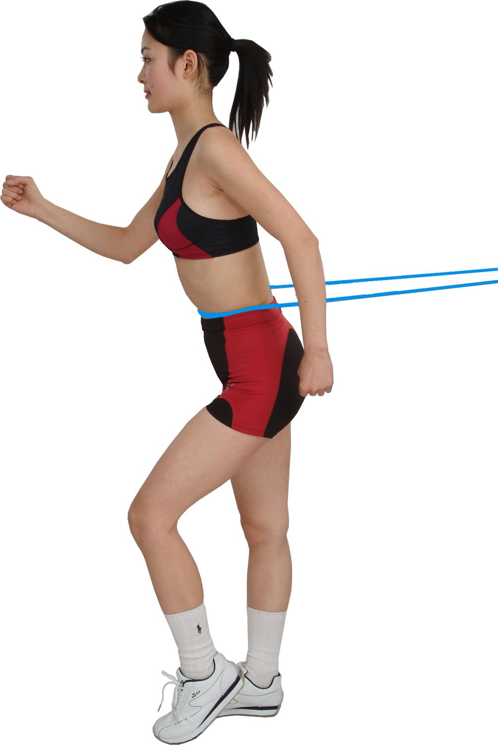 Amazon.co.jp: SINTEX(シンテックス) (シンテックス) トレーニング