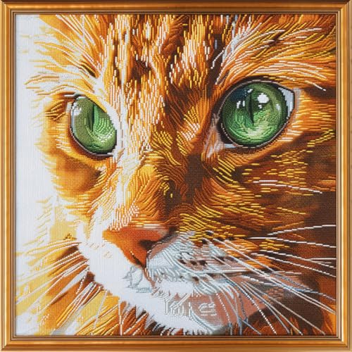 Generic Orange Cat Face DIY 11CT Stamped Cross Stitch Kits for Beginners Easy Needlepoint Embroidery Counted Cross Stitch Art Craft for Wall Decoration 14x14inch(4)