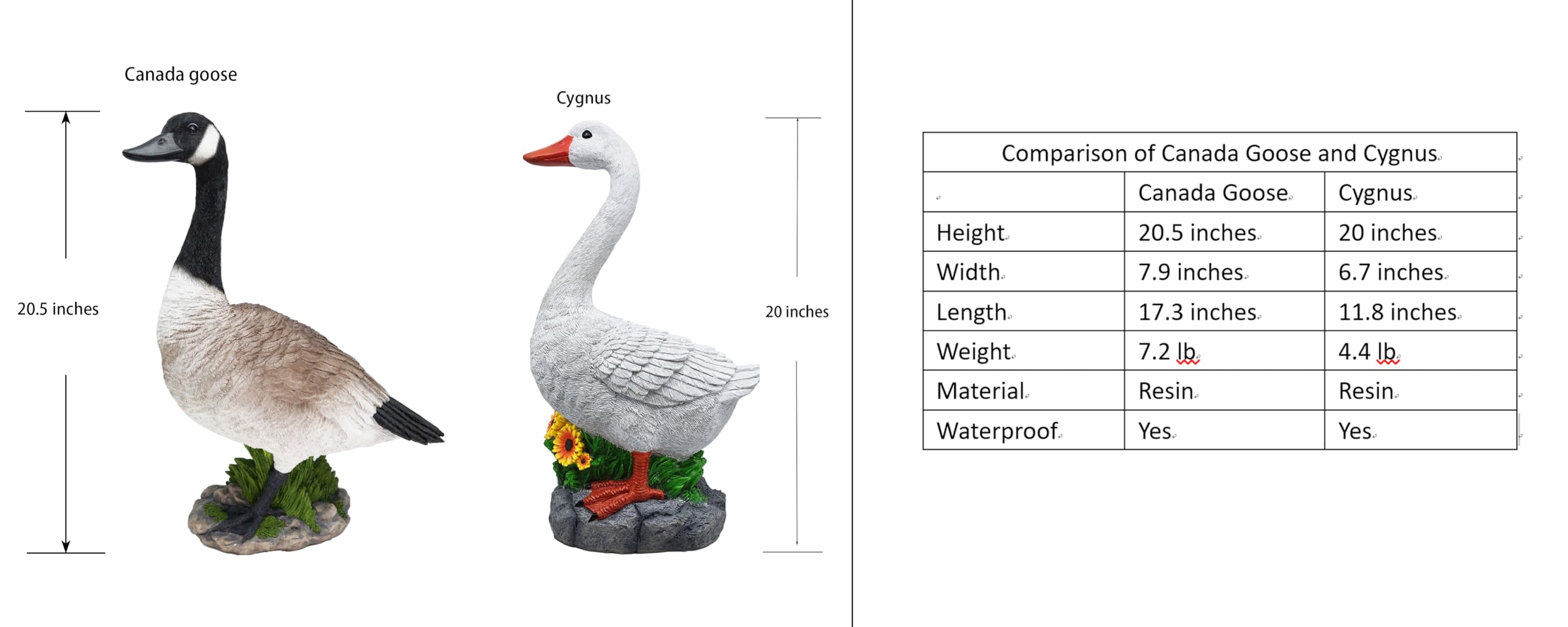 Amazon.com: Clerodendrum Joyful Porch Goose Statue Cygnus, Big