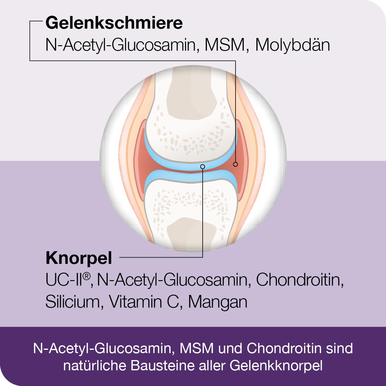 flexiLoges® Knorpel aktiv - 120 Kapseln - Abgestimmtes Nährstoffkonzept für eine gesunde Funktion der Gelenke