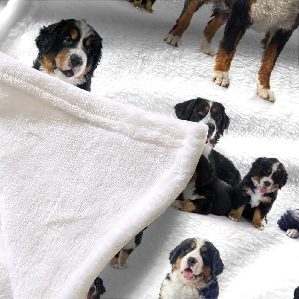 Douce Flanelle Couverture Polaire 3D Chien Montagne Bernois Microfibre Fluffy Couverture de literie 2 Personne Chien Compagnie Enfant Adultes Fille Garcon Sherpa Couverture de canapé 150x200cm