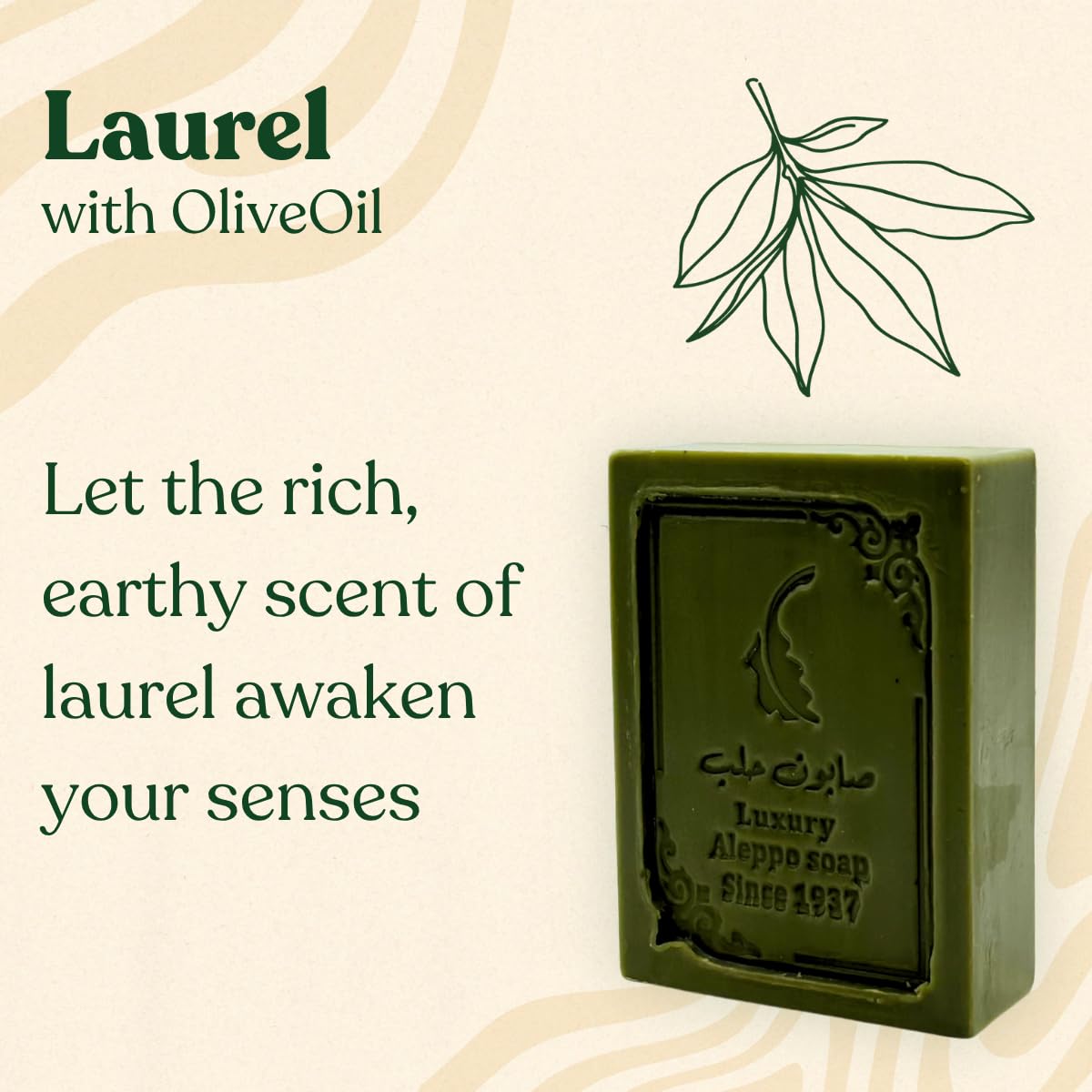 GREEN FADEL Sapone di Aleppo Luxury con di Olio d'Oliva & Olio di Alloro, 1 pezzo, Sapone all'Olio d'Oliva
