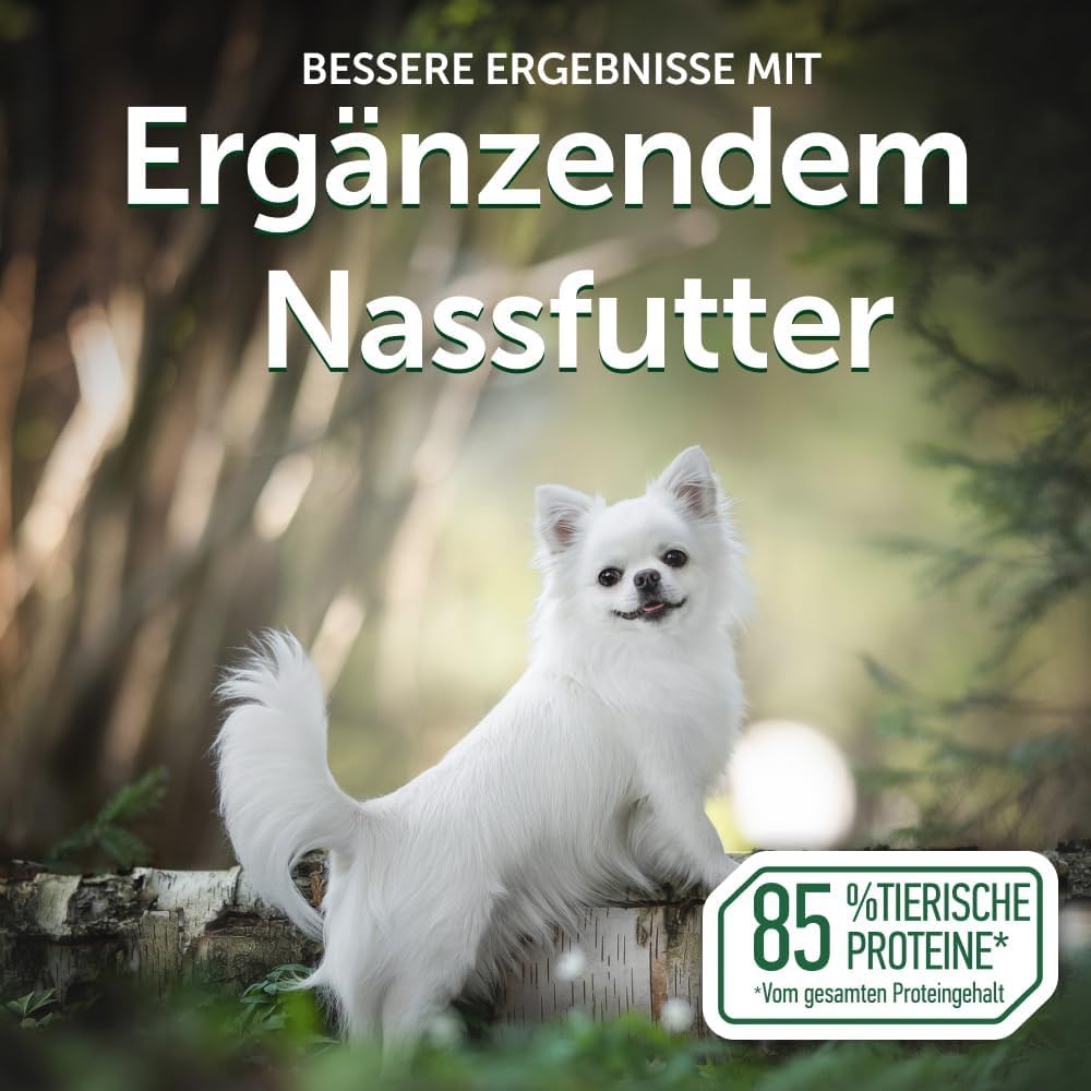 Nature’s Protection Superior Care Hundenassfutter mit Thunfisch & Lachs - Hundefutter ohne Getreide & hypoallergen - Für weiße erwachsene Hunde - Haut & Fellpflege - Reduziert Tränenflecken (24 x 70g)