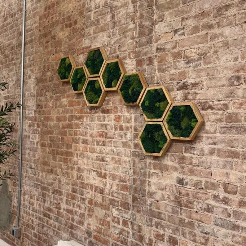 Moss Hexagons