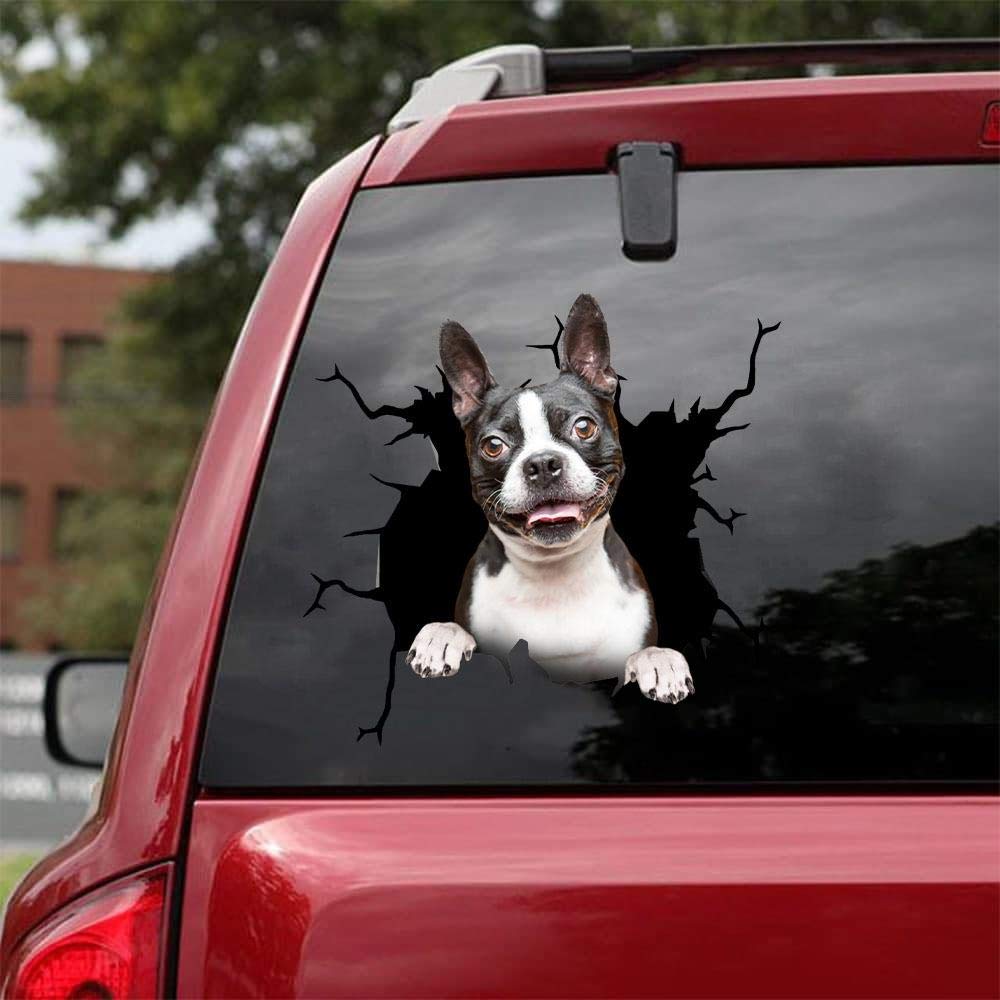 Ocean Gift Boston Terrier Car Decals, Dog Car Stickers Pack of 2 - Realistic Boston Terrier Stickers for Car Windows, Walls Series 63 Size 10" x 10"
