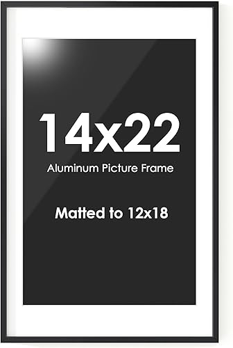 Miniatura 106 de Fun Memories Portarretratos de metal de 16 x 20 pulgadas con paspartú de 11 x 14 pulgadas, acabado de aluminio cepillado, parte delantera de vidrio