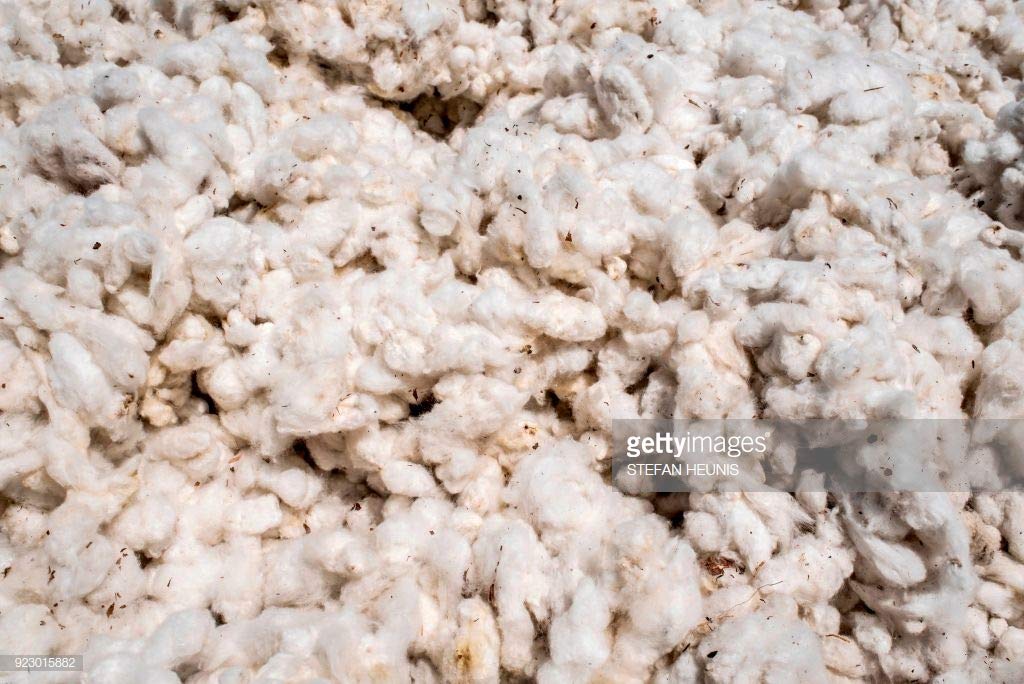 Pmw - Unprocessed Cotton with Seeds - for Making Wicks - 500 Grams-picture-17