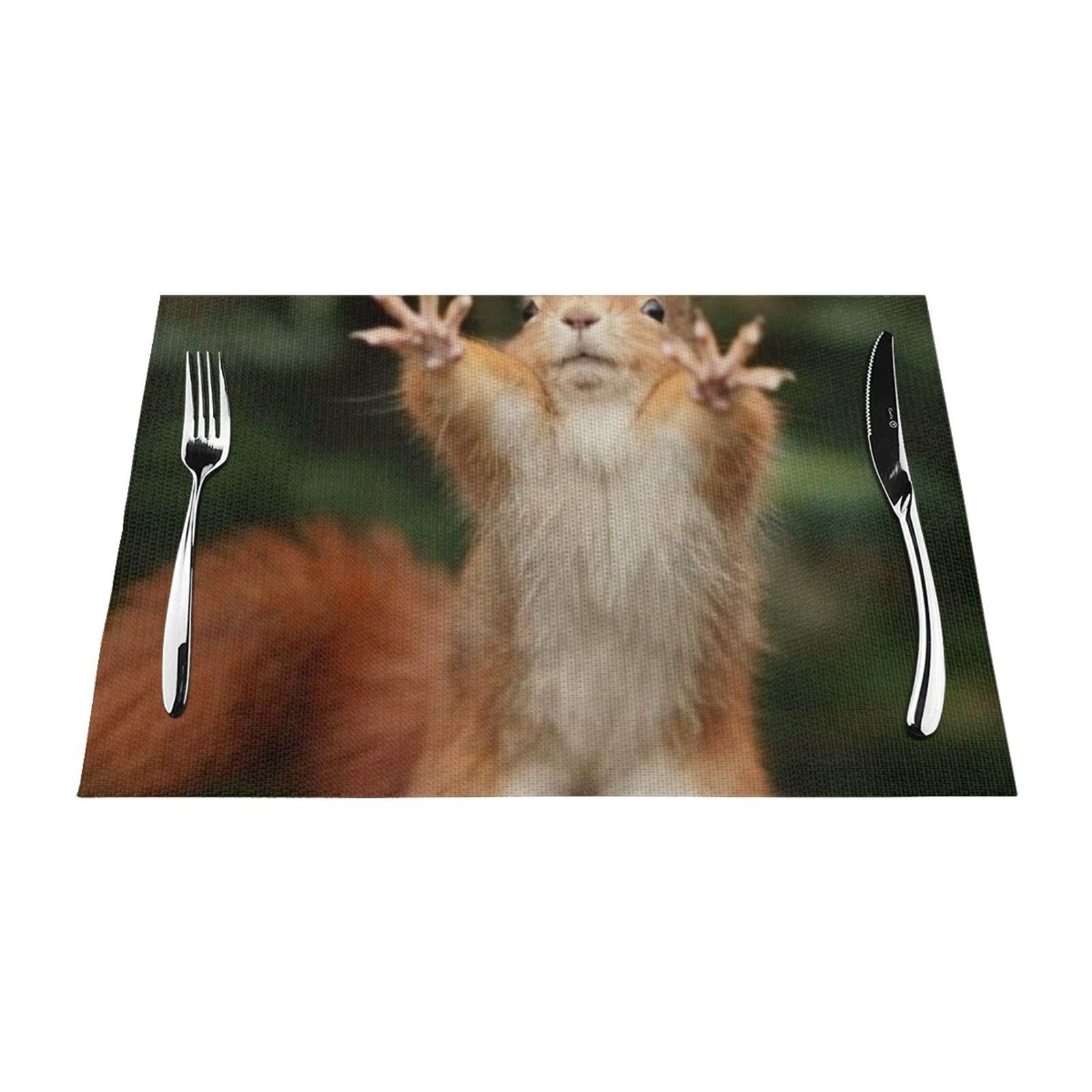 PVC Placemat Set of 6 PCS, 45x30 CM, Squirrel Funny Animal-r18325 Printed Non-Slip Heat Resistant Place Mats for Kitchen Dining Table Indoor Outdoor