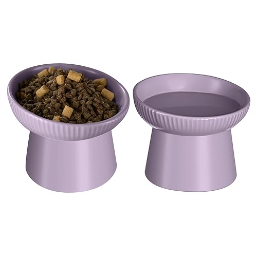 Ceramic Elevated Cat Bowls-Water Bowl, 15° Tilted Design, Anti-Vomiting & Spine Protection, Prevent Whisker Fatigue for Kittens to Adult Cats and Small Dogs (Purple-15° Cat Bowls-2) - Purple-15° Cat Bowls-2