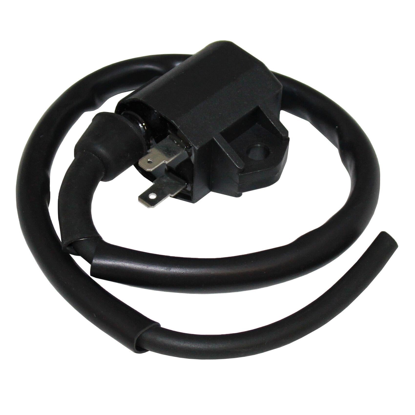 Ignition Coil For Polaris Ranger 500 2X4 4X4 6X6 2004 2005 2006 2007 2008 - Foto 2