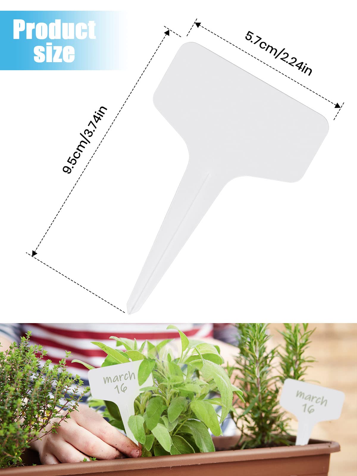 200 Etichette Per Piante In PVC - 10x6cm - Impermeabili E Riutilizzabili - 6 ColorI - Per Orto, Giardino E Vasi - Foto 3