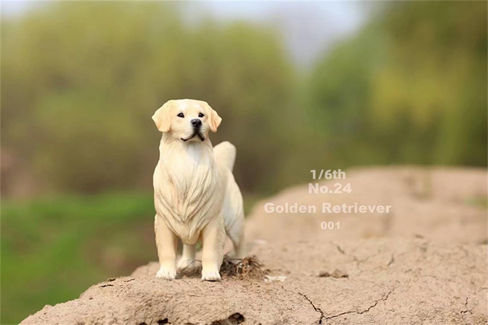 Amazon.co.jp: 1/6 サイズ ゴールデン・レトリバー 可愛い 犬 動物