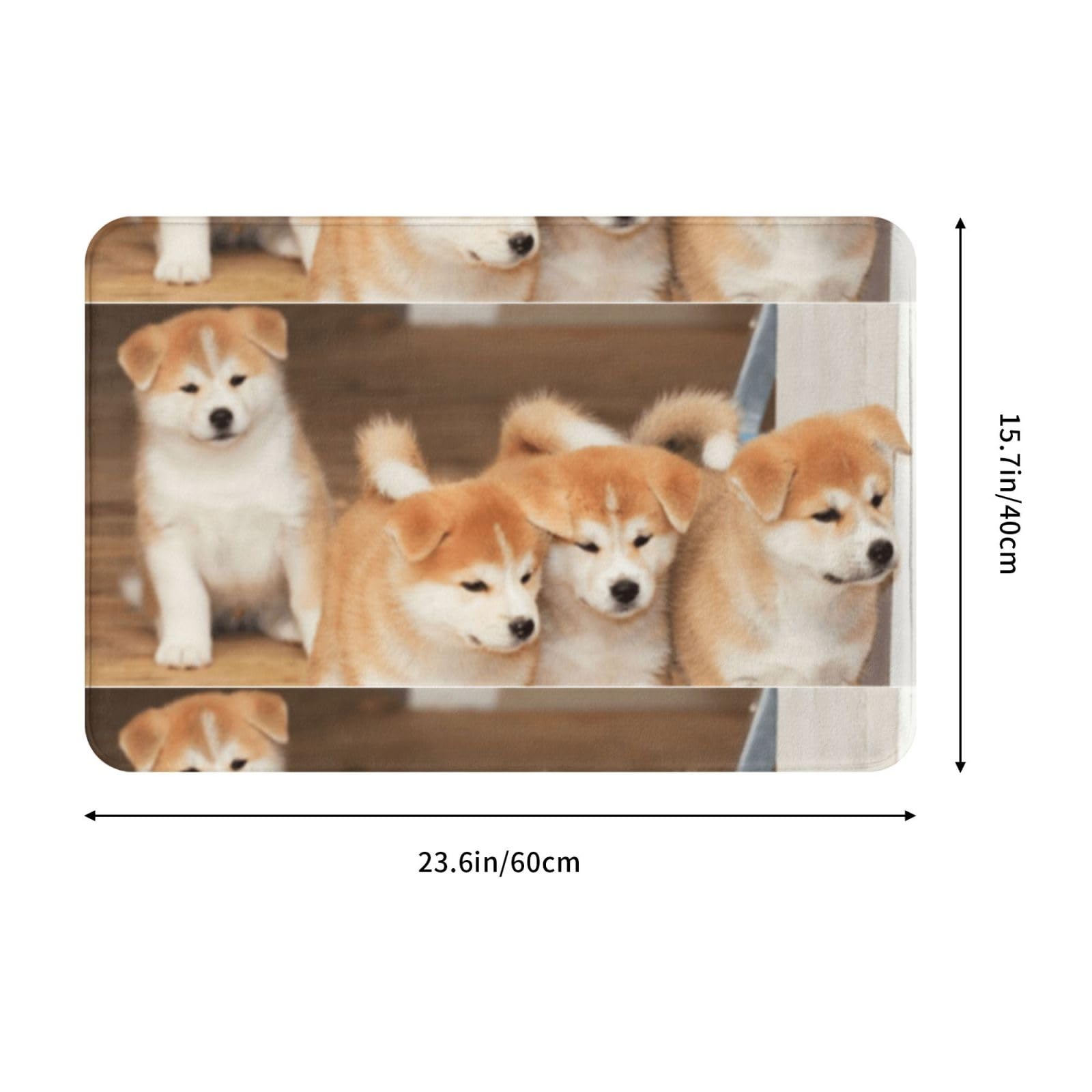 Amazon | 玄関マット バスマット 40×60cm 滑り止め 屋外 室内 可愛い