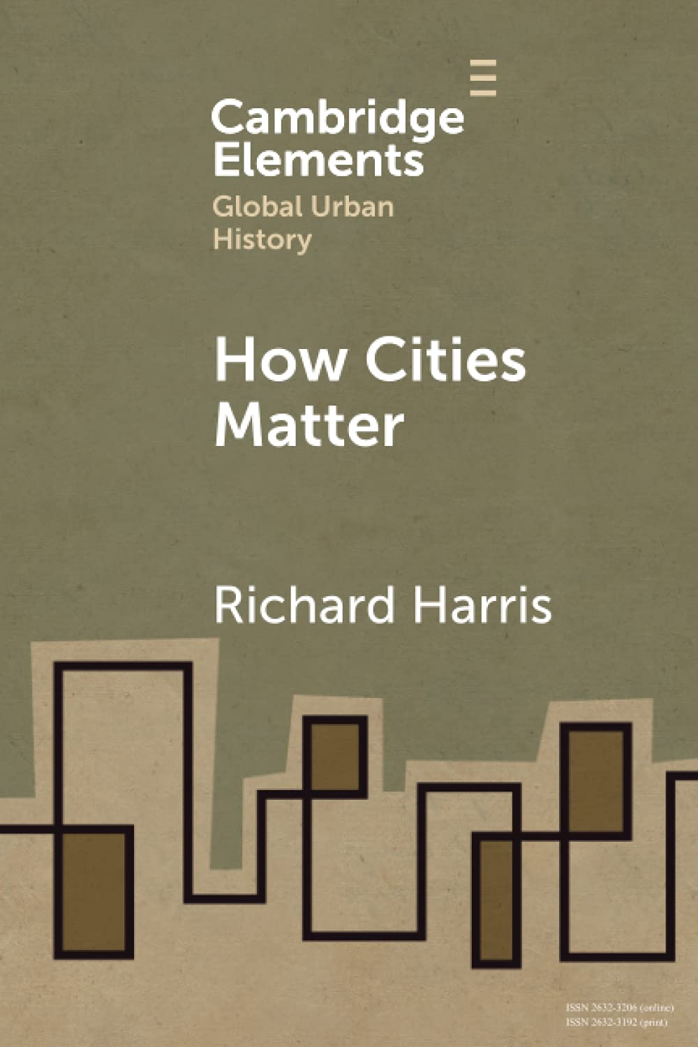 How Cities Matter (Elements in Global Urban History)