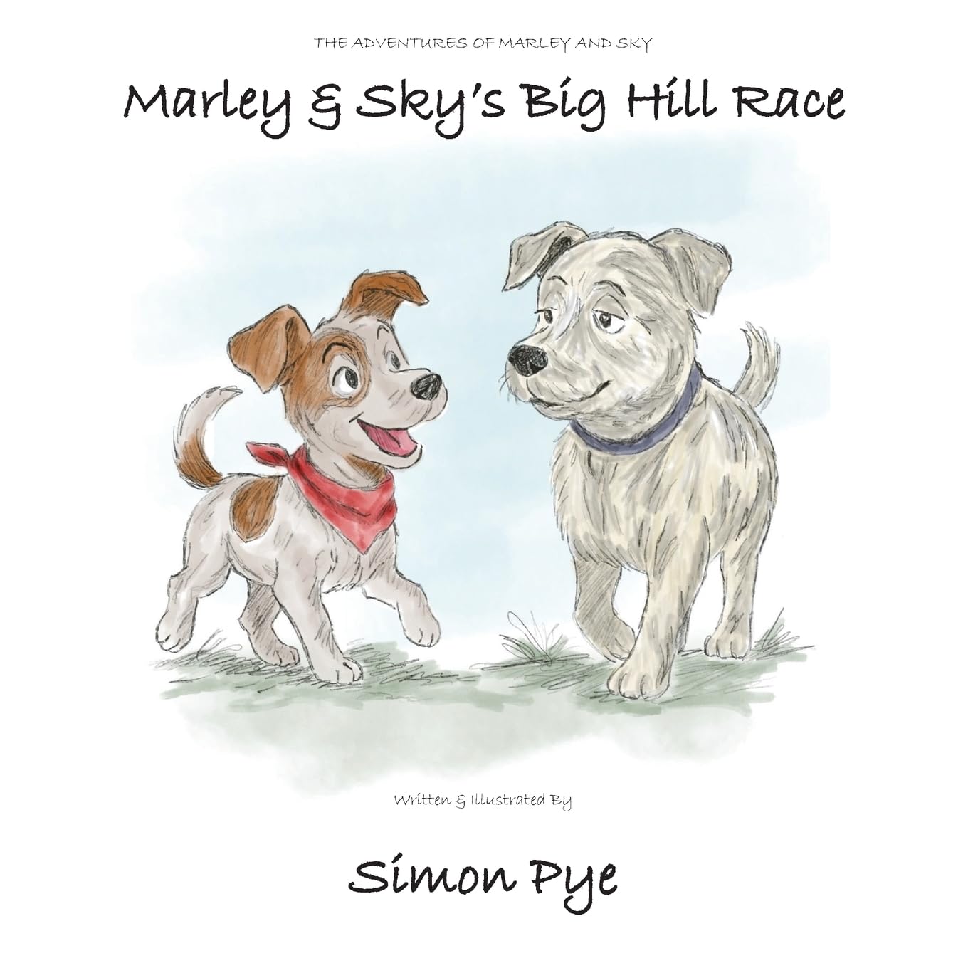 Marley & Sky's Big Hill Race: 1 (The Adventures of Marley & Sky)