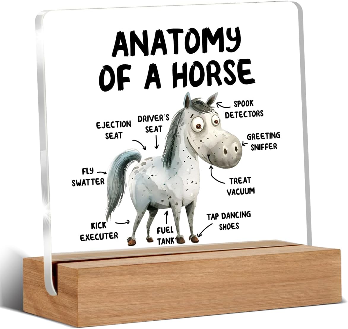 Funny Horse Gifts for Women Men, Cool Gifts for Horse Lovers