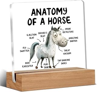 Funny Horse Gifts for Women Men, Cool Gifts for Horse Lovers, Horse Themed Gifts, Anatomy of a Horse Home Office Desk Decor Signs Plaques 4 x 4 Inches