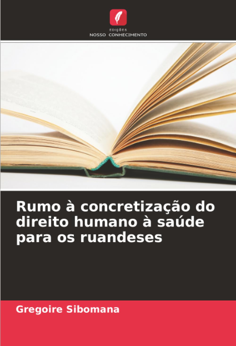Rumo à concretização do direito humano à saúde para os ruandeses