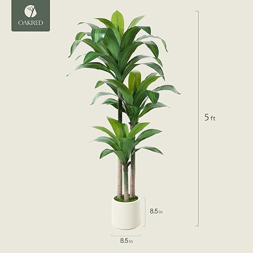 Miniatura 7 de OAKRED Árbol de Dracaena artificial de 5 pies de alto, plantas de dracaena falsas con maceta blanca, planta de suelo de dragón de imitación para