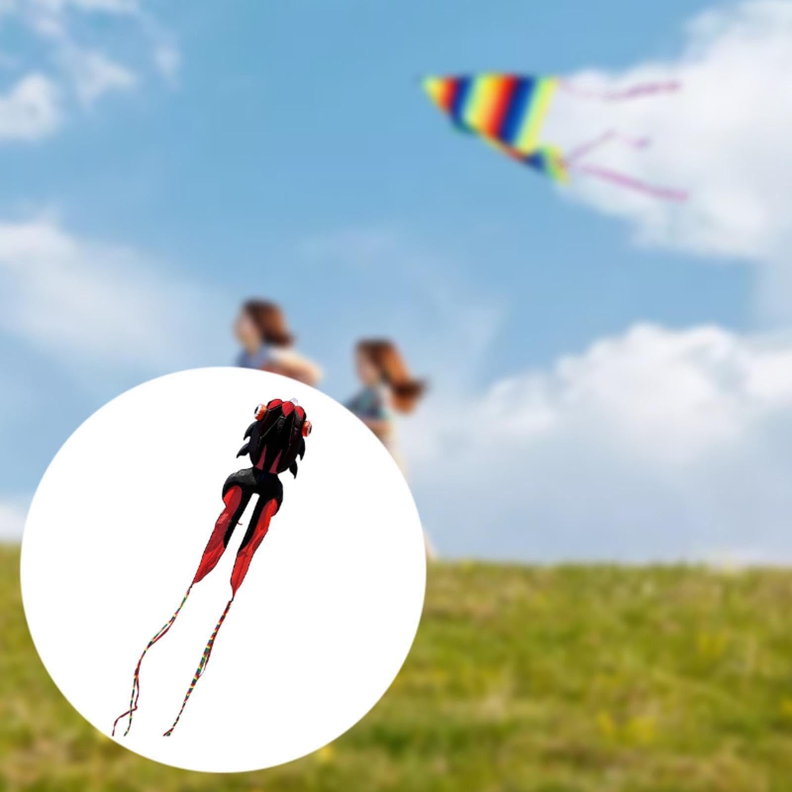 Koi pour Les Fêtes En Plein Air et Les Activités de Vol, Noir