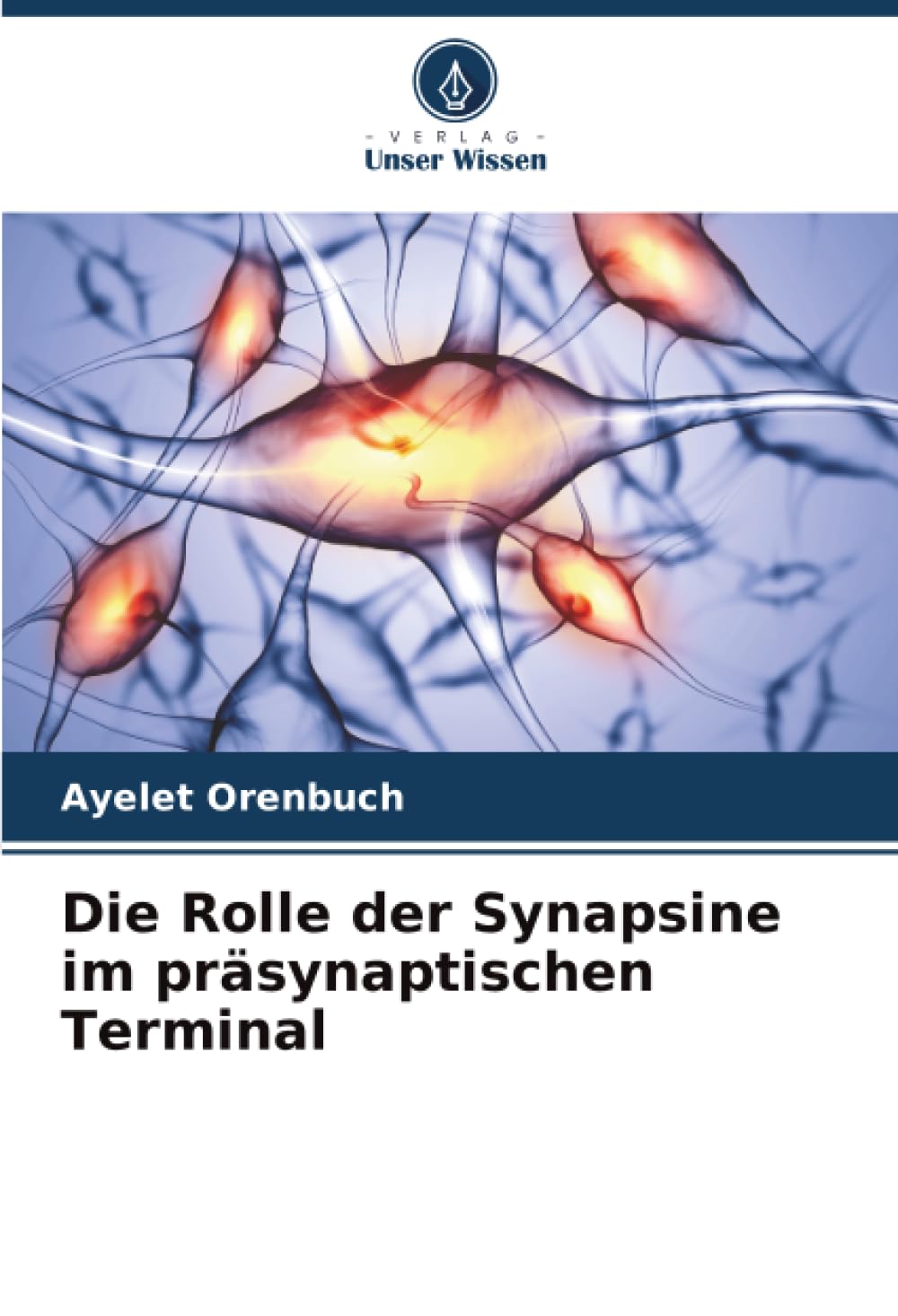 Die Rolle der Synapsine im präsynaptischen Terminal