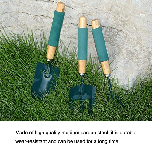 SYGA 3Pcs Small Garden Tools Set Heavy Duty 1Garden Hands Shovel Trowel 1Claw Rake 1 Plants Fork with Ergonomic Wooden Handle Metal Bonsai Tool Kit for Transplanting and Digging
