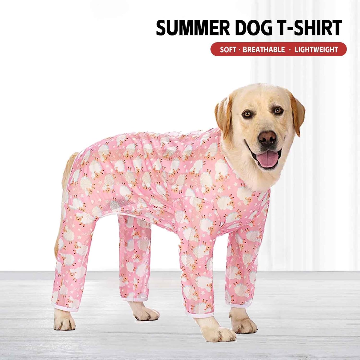 ☆レトロ 当時物 希少 東京ディズニーランド限定 DONALD'S WACKY