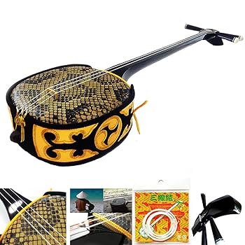 三線　蛇柄 弦楽器 琉球 黒塗り ケース付 初心者 入門モデル 美品 Amazon.co.jp: ちゅら咲 沖縄三線 琉球ベーシック初心者向け