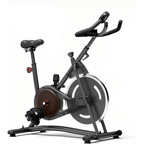Exercise Bike Stationary Bikes for Home, Adjustable Resistance & Comfortable Seat Workout Bike, Quiet Indoor Cycling Bike with Digital Monitor, Phone Holder