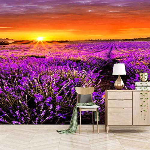 Msrahves papier peint xxl Pourpre plantes lavande coucher du soleil Papier peint intissé Trompe l oeil | Déco Mural Tableaux Muraux Photo Paysage Panoramique Intissé Murales Moderne Decoration Murale