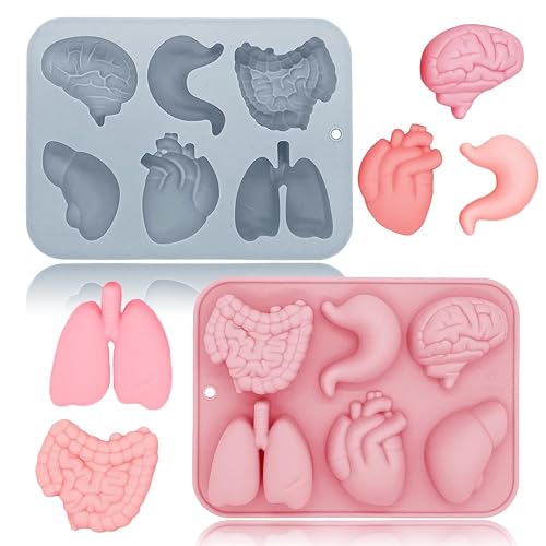 BENEKIY 6 Styles Human Organ Silicone Molds