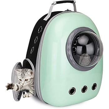 can guinea pigs be sick