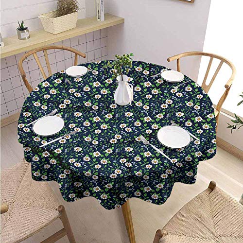 Albapilix ؐT_{E ی^fU[gfBXvC T[rOgC t[ct[hT_XibNX[v{E R[q[VbvpF